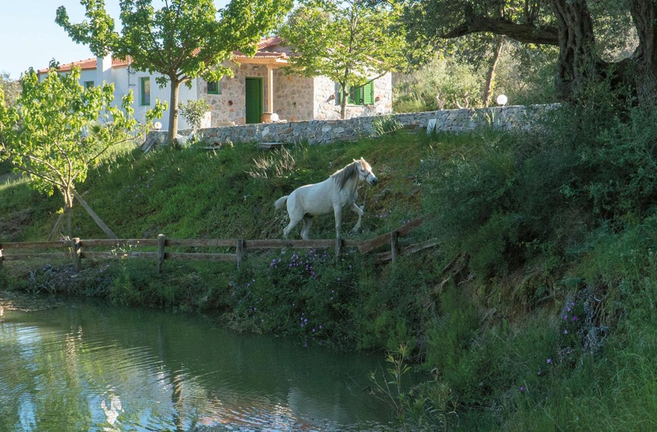 Villa Elia Lambiní Extérieur photo